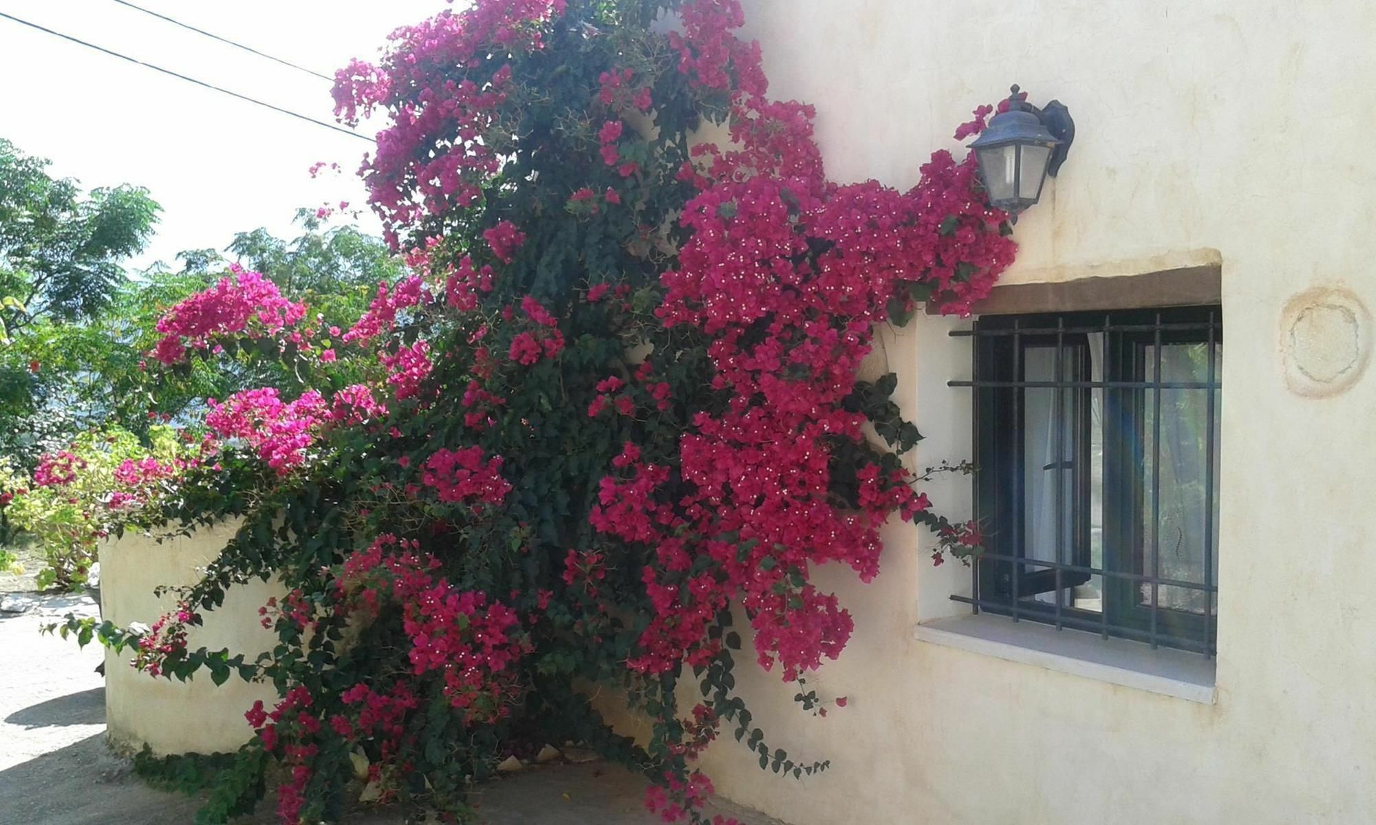 Petra & Elia Villa Megala Chorafia Exteriör bild