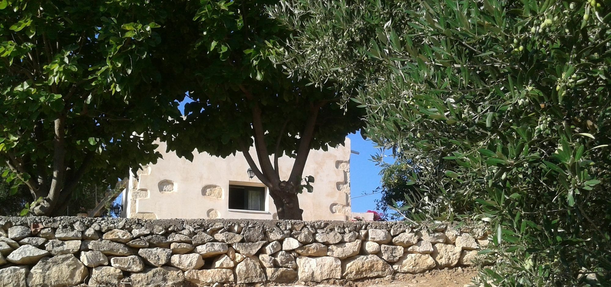 Petra & Elia Villa Megala Chorafia Exteriör bild